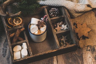 开云体育官网在线-NBA赛季助攻王表现动态，nba本赛季助攻王