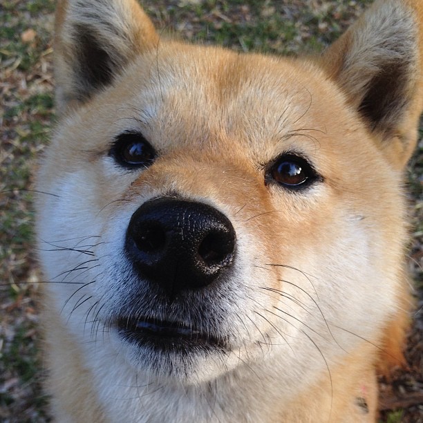 世界青少年趣味运动会青春无限青春精彩，世界青年运动会开幕式