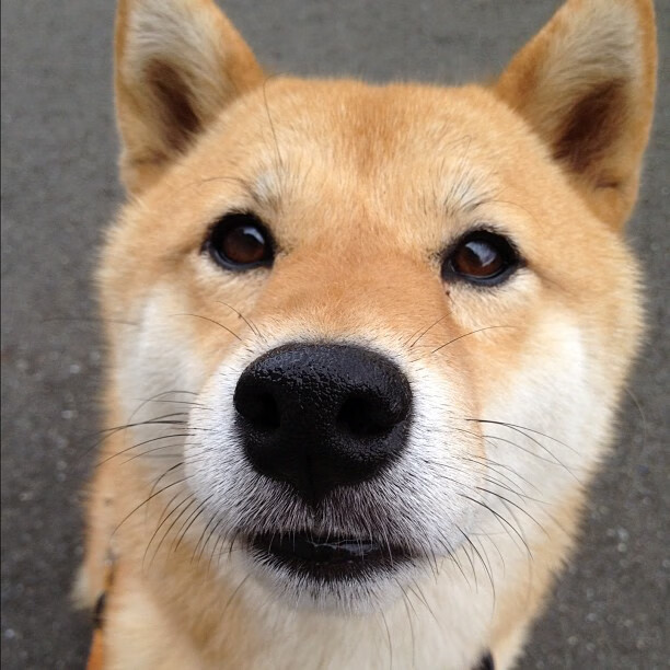 “沙滩手球赛场激烈交锋，天府新区热力四射”