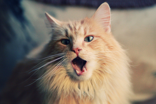 开云体育官网上-世界杯预选赛U23国足爆冷 战术复盘备受关注，国足22年世界杯预选赛