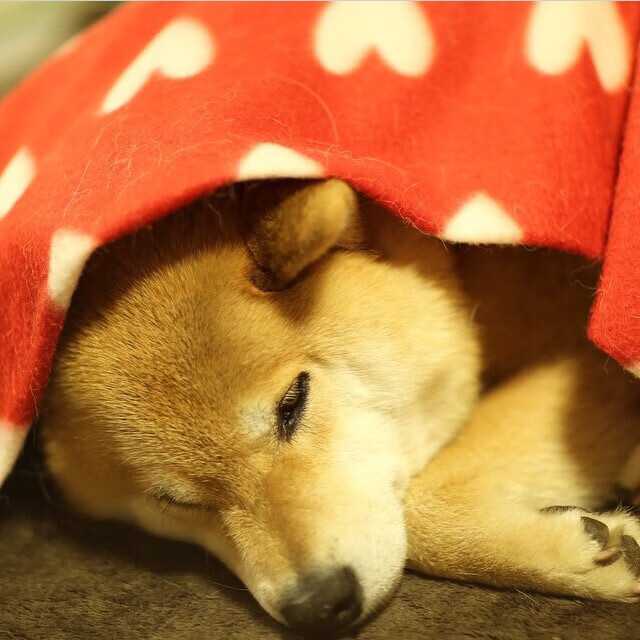 中超联赛强强对话即将上演，中超强队