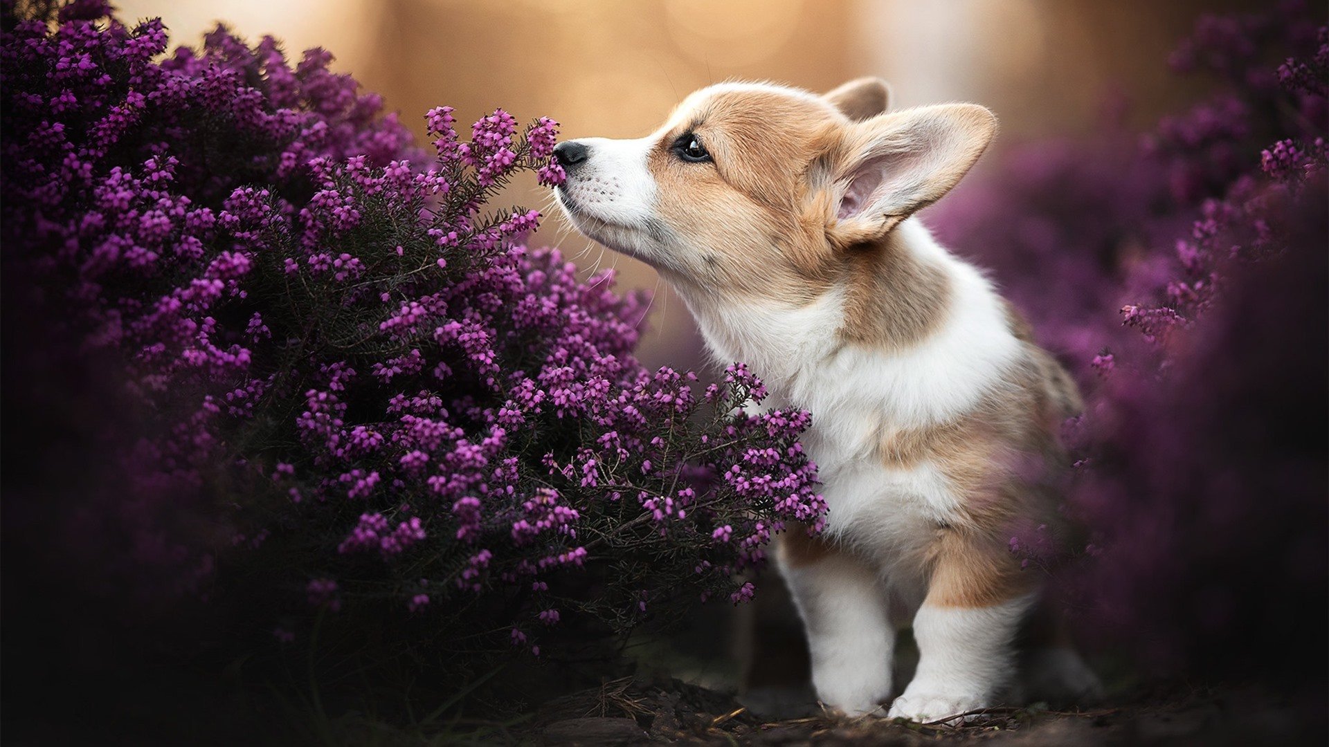 开云体育app在线-国家队逆转国际热身赛 热血之战备受期待，中国国家队热身赛