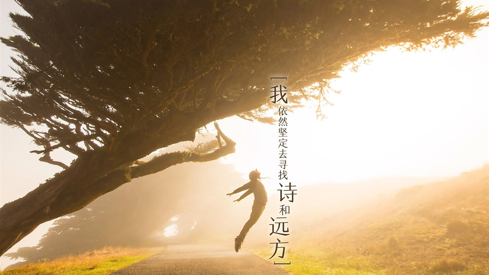 开云体育官网下载-女子蛙泳失手仍获好评，蛙泳女神