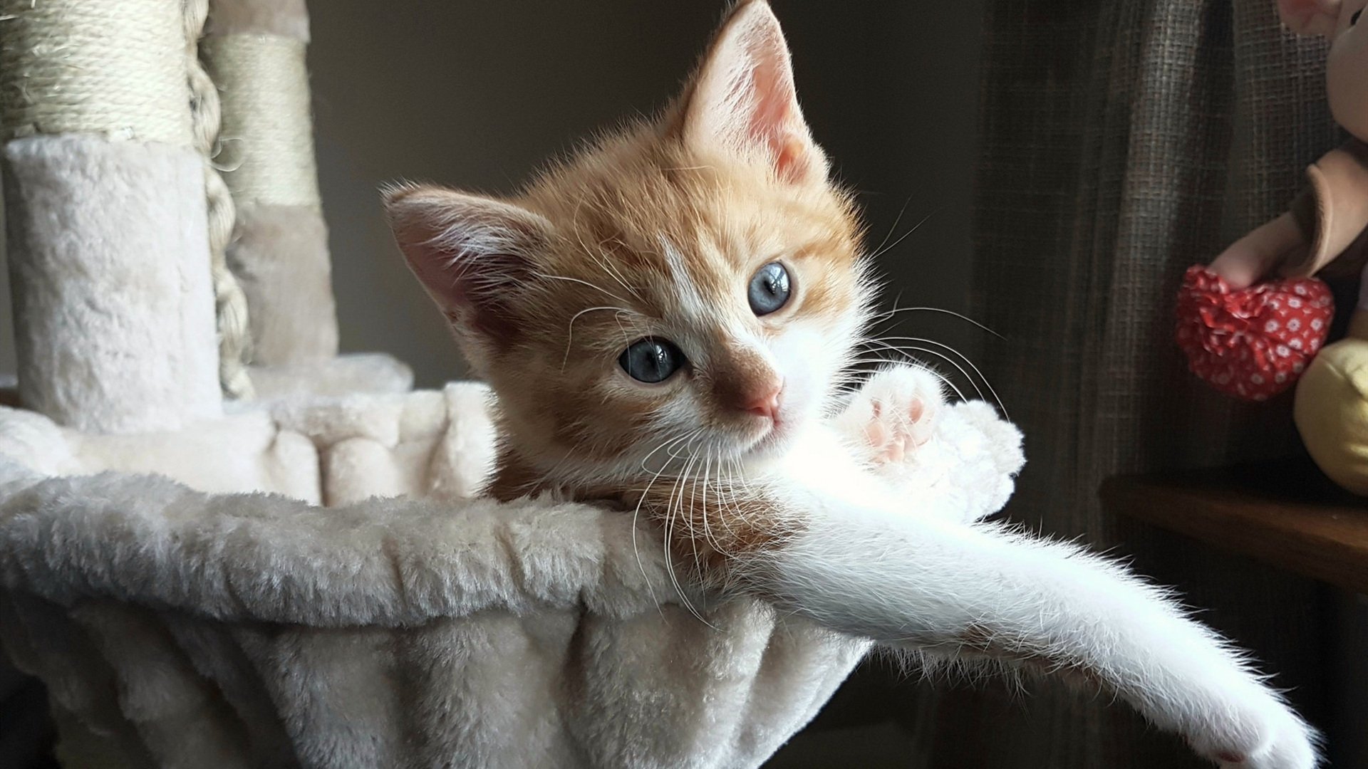 门将与后卫之间战术沟通是否成为反击第一环节,门将和后卫