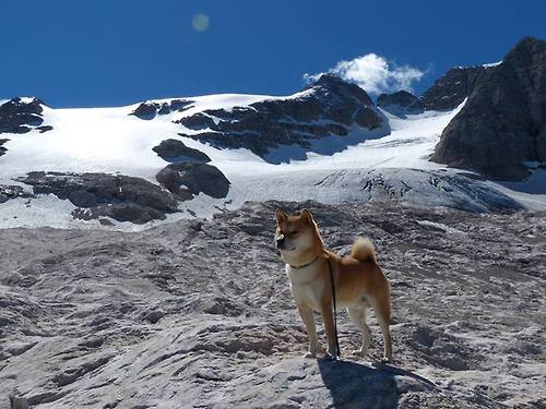 2026世界杯赛场内外全面升级，智能化设施成亮点，2026年世界杯参赛队伍