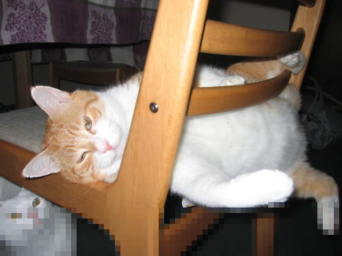 开云体育登录-网球技术演示视频引导初学者科学入门，网球训练视频教学视频教程