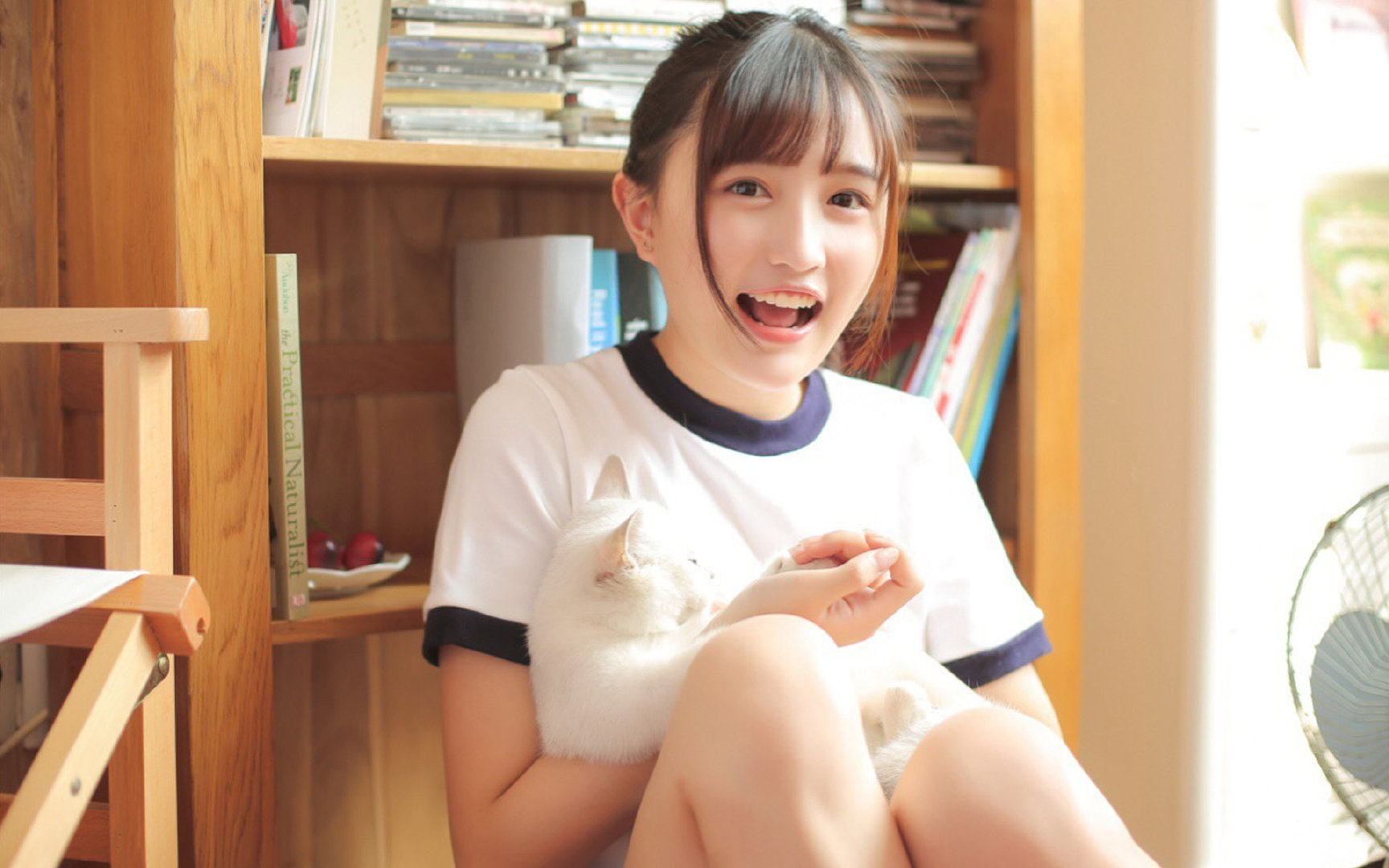 美洲杯劲爆对决:逆境中展现英雄本色,美洲杯决赛剪辑